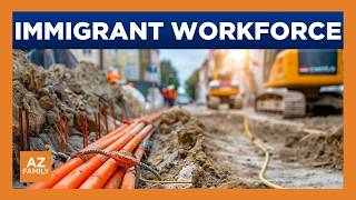 Immigration crackdown's impact on the labor market