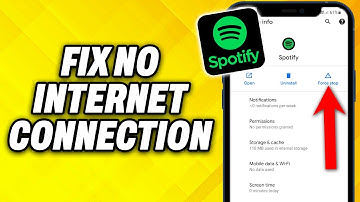 How To Fix Spotify No Internet Connection 2025