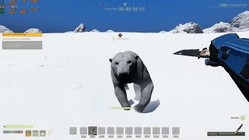 How to kill a HC polar bear with...just a knife Icarus
