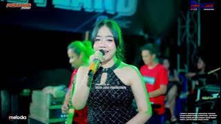 PAEYLAND MUSIC - KUNANTI DI PINTU SURGA - VIVI FADILA | WEDDING JOHAN & FATMA - KRAPYAK JEPARA
