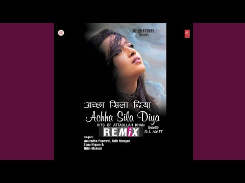 Bedardi Se Pyar Ka Remix Full Audio Anuradha Paudwal Udit Narayan Love Hindi Remix Song