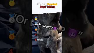 10k likes for part 2 ♥️ #shorts #dogs