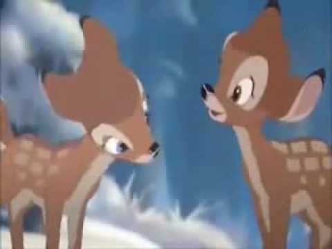 bambi2. 