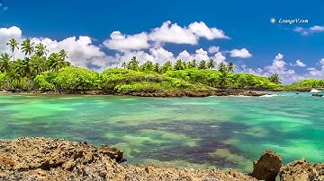 Surah AlMa'un by Sheikh Abdelaziz AlHamri سورة الماعون للقارىء الشيخ عبدالعزيز الحمري