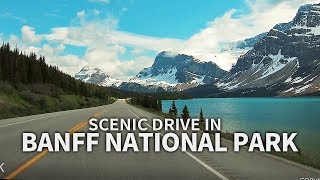 SCENIC DRIVE  Banff National Park, Icefields Pkwy, Alberta, CANADA, Travel