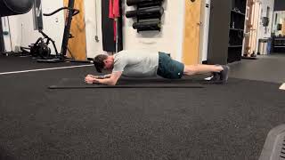 Forearm Plank Rocks