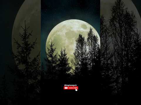 Why We Never See The Moon S Back