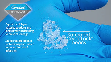 Eclypse Adherent feature video