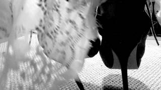 Stiletto Boots - Lace Dress And Heels Teasing - Floor Level