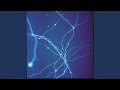 Entangled Eternities