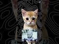 7 Dato astronómico #ciencia #astronomia #gatos #parati #fyp
