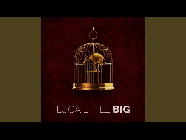 Luca Little - 94 Magical Moments