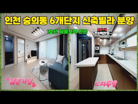 숭의동신축빌라아파트,인천신축빌라아파트,인천신축오피스텔,6개동지상5층48세대,시스템에어컨2대,제물포역도보10분,도화IC자차10분,주변재개발호재,학세권