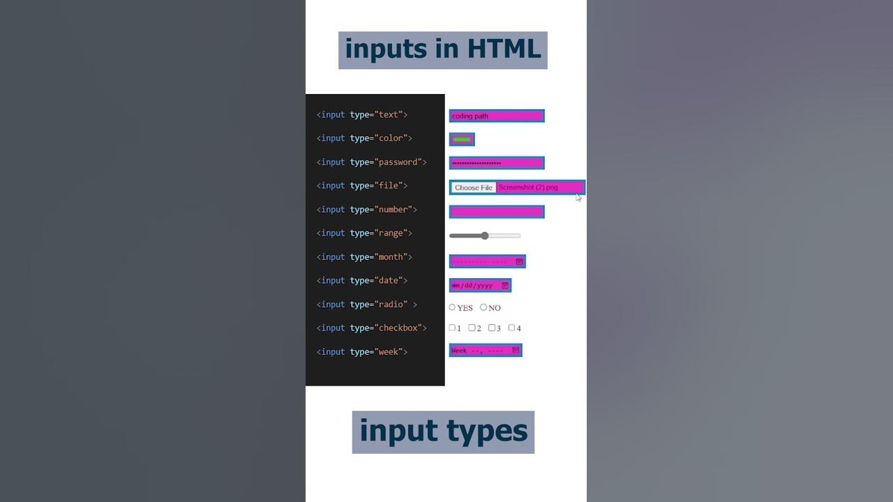 All input types in html #css #coding #webdevelopment #html - YouTube