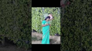 Saree Look Song Shorts Youtube