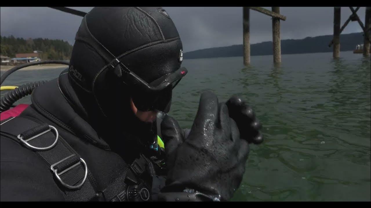 YSS Dive Underwater Clean Up 2023 Port of Hoodsport YouTube