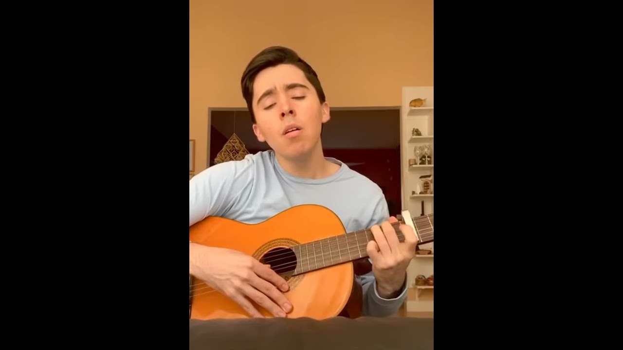 fallin all in you - shawn mendes mini cover