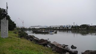 大井ふ頭中央海浜公園しおじ磯の釣り場 ハゼが8月に釣れる 東京都10月 釣りと車中泊旅行