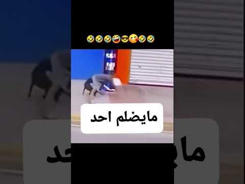 والله ما ظلمو ههههه