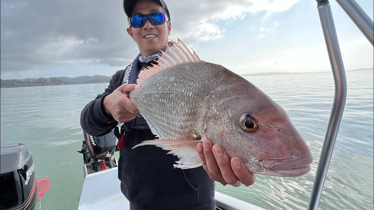 Spring fishing at Manukau Harbour YouTube