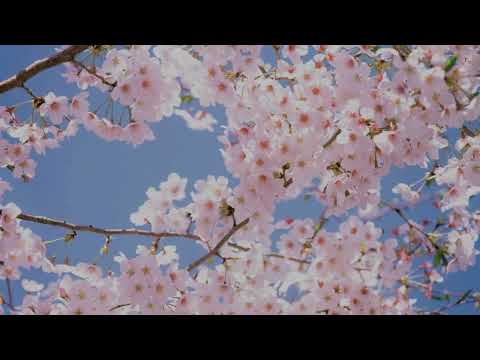 ترنيمة هلمي يا جميلتي 