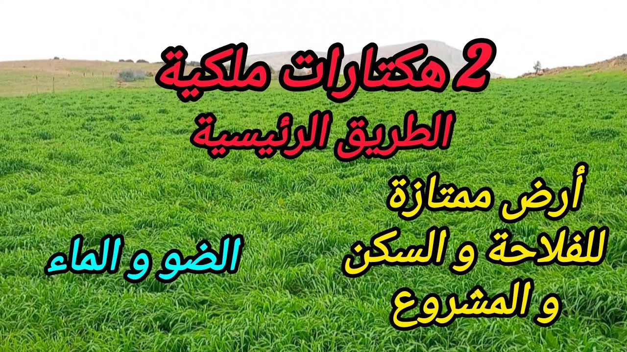 2026-3-4 : تقريبا 2 هكتارات ملكية على الطريق الرئيسية، الضو ،الماء، قريبة من واد سبو . ☎️ 0652902061
