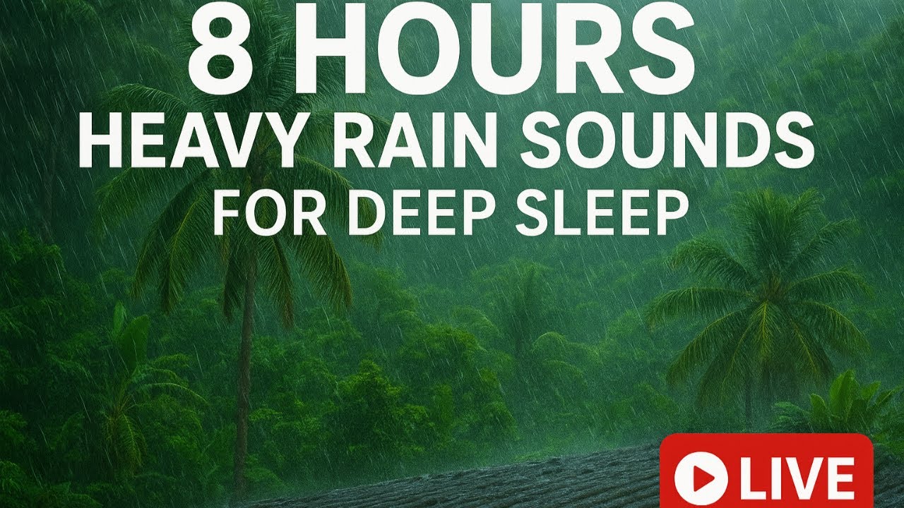 8 Hours Rain Sounds for Deep Sleep and Relaxation | ASMR Rain Ambience ...