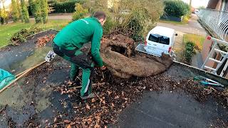 Can You HELP ME? Client's Neighbor Asked Me To REMOVE Ivy From His Garage by Kustorez 763,913 views 2 months ago 56 minutes