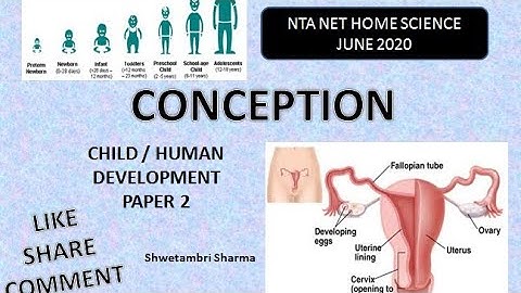 Conception by Shwetambri Sharma