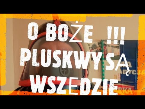 Wideo: Dichlorvos Z Pluskiew: Czy To Pomaga? Dichlorvos „Varan” Bezwonny I Inne Z Pluskiew. Jak Zatruć? Przegląd Recenzji