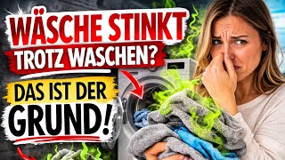 Wäsche Riecht Nach Dem Waschen Nicht Frisch?