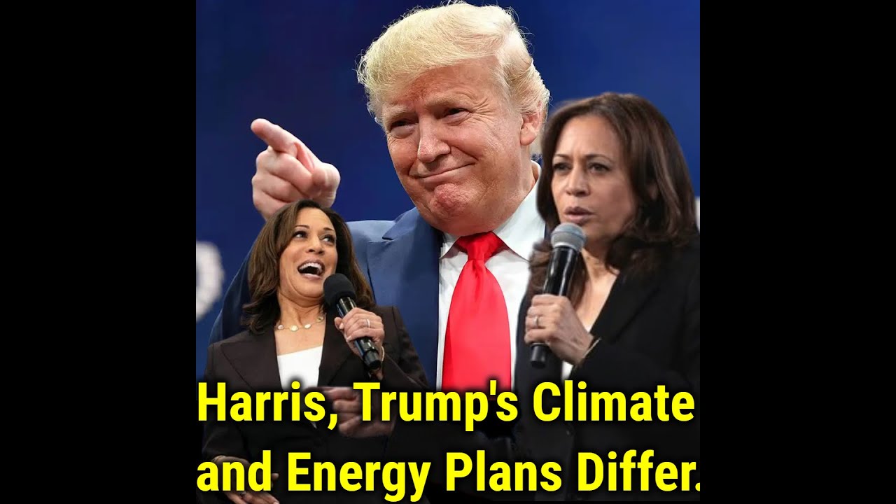 Harris, Trump's Climate and Energy Plans Differ - YouTube