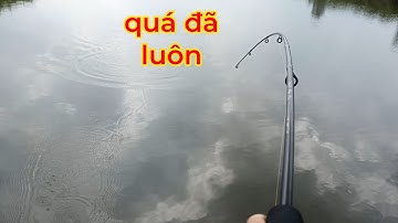 câu cá thiên nhiên | lure chẽm cá chét bằng mồi cá sắt sát thủ cá loài cá