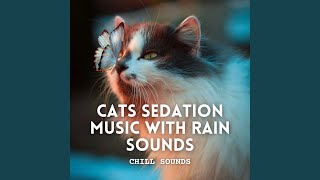 Rainy Harmonies for Tranquil Cats
