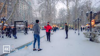 Walking on a Snowy Day in TEHRAN, IRAN (4k) | پیاده‌روی در روز برفی تهران