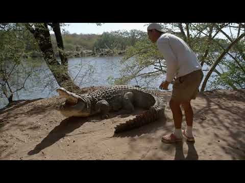 Wild Frank joue avec un énorme crocodile du Nil - Discovery Family