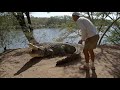 Wild frank joue avec un norme crocodile du nil  discovery family