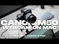 Turn your Canon M50 into Webcam (OSX only) | NO Capture Card needed!