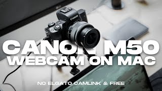 Turn your Canon M50 into Webcam (OSX only) | NO Capture Card needed!