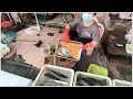 Hawker Selling Tilapia Fishes Tanzhou Market Zhongshan China 淡水魚魚檔 大大條羅非魚 非洲鰂魚 坦洲市場後面 中山坦洲