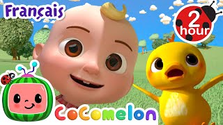 Le Vieux McDonald | Chansons pour Bébés | CoComelon Le coin des Animaux de JJ - Comptines