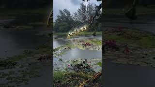 Enga vena poika ne ena vitu poitama eruthale athu pothum mey💗🫶🏻🤌🏻#loves🧿🪽#Nenepu tha sonethaney💋