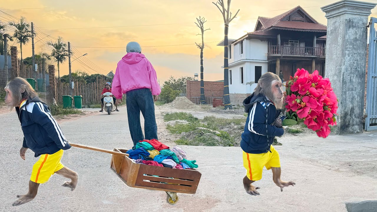 CUTIS Says Sorry to Mom — The Sweetest & Most Special Moment Ever