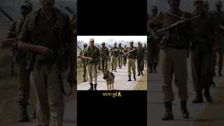 बांग्लादेश बॉर्डर पर रात में अचानक हुई हचलल#bsf #bodar#news #shorts