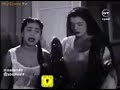 الفنان عمر الجيزاوي سعاد مكاوي على حسب وداد قلبي 