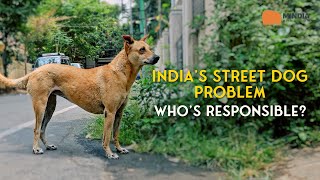 India’s Street Dog Problem | Who’s Responsible?