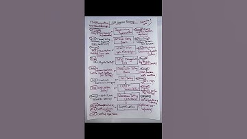 qa engineer roadmap for beginners | qa engineer roadmap | qa engineer #shorts #trendingshorts