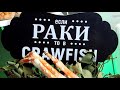 Симферополь CrawFish Рекламный ролик