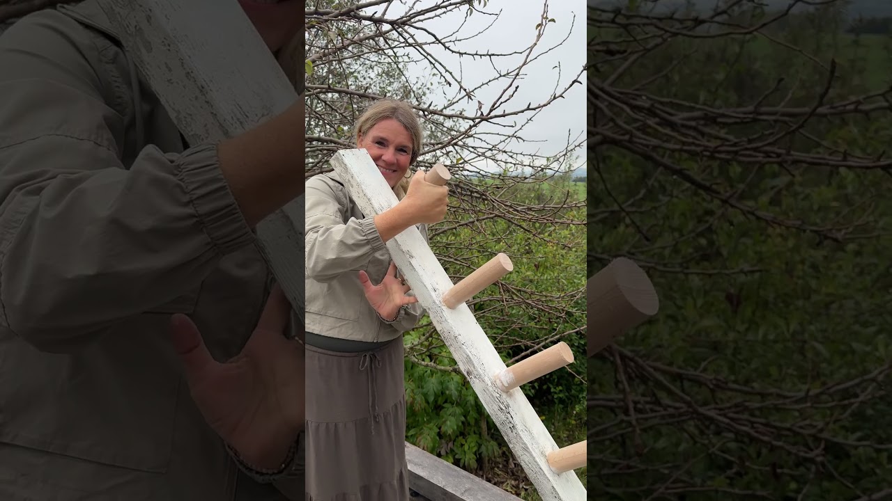 Schlichte Schönheit im Advent ✨🤍 