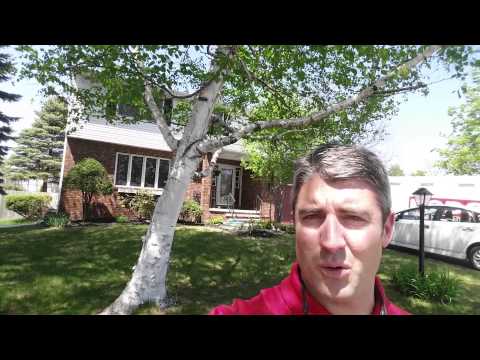 1 Victory Drive, Colonie, NY home video tour